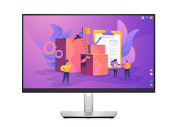 Dell Monitor P2422H
